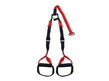 BODYTRAINER  HOME BASIC,crvn - F-POP-11-01