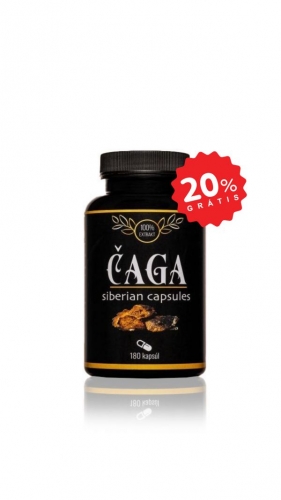 Čaga Sibírska KAPSULE 180 ks – TERAZ 20 % NAVYŠE ZADARMO - 