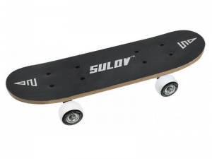 SKATEBAORD 17x5, PEGY - SK MINI 1-02