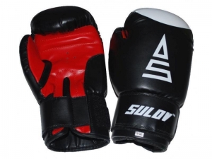 Boxerské rukavice DX 8OZ.čier - BOXRUK-DX-8-1