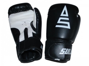 Boxerské rukavice PVC 6OZ.čier - BOXRUK-PVC-6-1